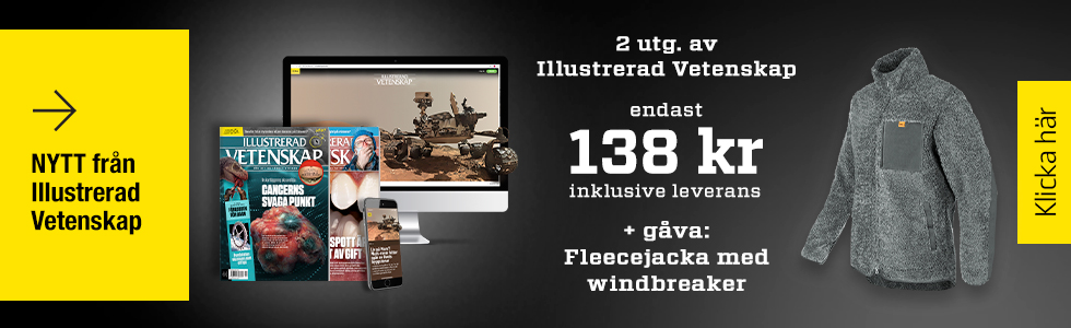 Illustrerad Vetenskap + Fleecejacka med windbreaker som premie
